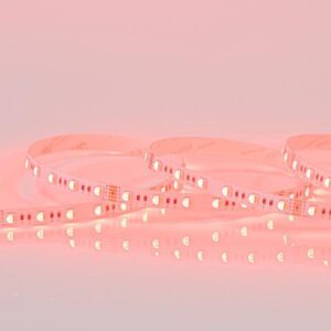 ΤΑΙΝΙΑ LED 5M 16W 24V RGBW + 6500K 60L/M IP20 PRO EUROLAMP – 145-70247