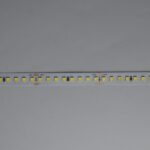 ΤΑΙΝΙΑ LED 5M 12W 24V 6500Κ 128L/M IP20 PRO EUROLAMP – 145-73430