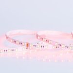 ΤΑΙΝΙΑ LED 5M 10W 24V RGBWW IP20 PRO EUROLAMP 145-70245
