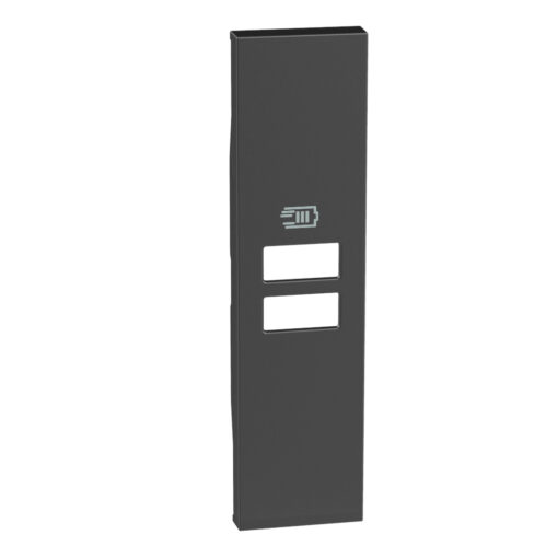 Living Now Πλήκτρο ΠΡ ΦΟΡΤ 2USB 1ΣΤ Μαύρο Legrand – KG13C