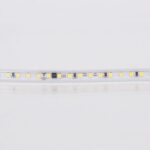 ΤΑΙΝΙΑ LED DRIVER FREE 50M 8W 240V 6500K 120L/M IP44 PLUS EUROLAMP – 145-70445