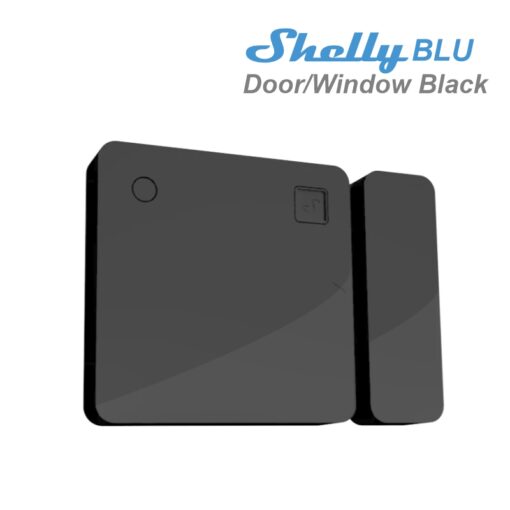 Door-Window-back.jpg
