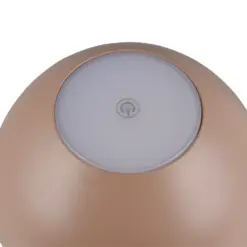 R54106165_4