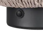 R55991126_1