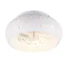 R61574031