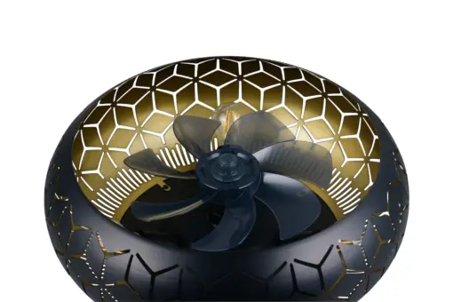 R61574080_2