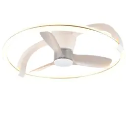 R64262131