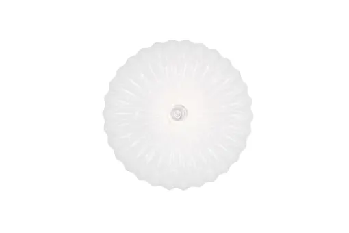 R64791101_1