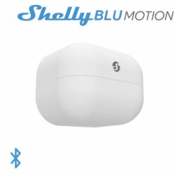 SHELLY-BLU-MOTION.jpg