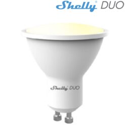 SHELLYDUOGU10DIM.jpg