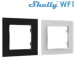 SHELLYWF1.jpg