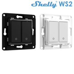 SHELLYWS2.jpg