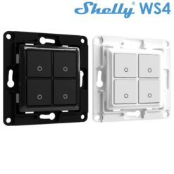 SHELLYWS4.jpg