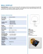 Shelly Wall Display B+BLU H&T | Shelly Wall Display Black+BLU H&T Black – EAN 3800235264904