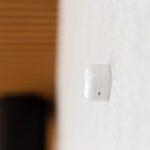Shelly Blu Motion | Shelly Blu Motion – EAN 3800235266700
