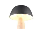 567800232_1