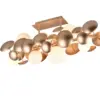 617400879