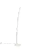 R45791131_2