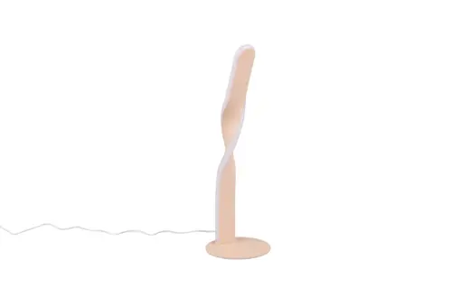 R55791166_2