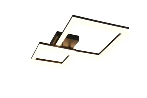 R65771232