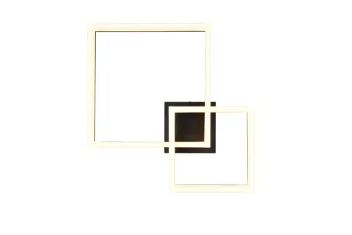 R65771232_1