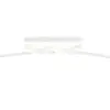 R65791131_1
