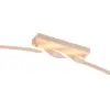 R65791166
