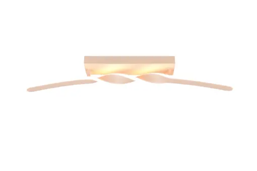 R65791166_1