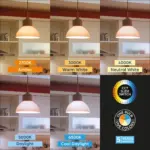 Λάμπα led Premium E27 Α65 13,5w 1520lm 5cct Braytron – BA13-01380