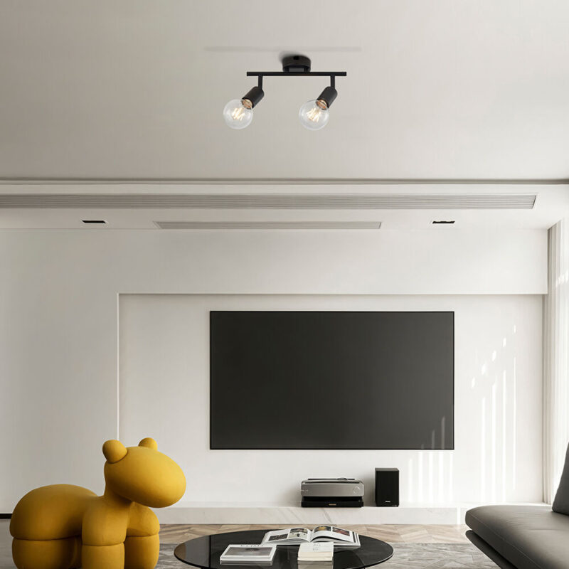 Φωτιστικό οροφής 2 x Ε27 Μαύρο Braytron – BV04-00031