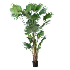 Alternative view of GloboStar® Artificial Garden PALM TREE 20014 Τεχνητό Διακοσμητικό Φυτό Φοινικόδεντρο Βεντάλια Υ210cm