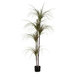 Alternative view of GloboStar® Artificial Garden DRAGON BLOOD TREE 20016 - Τεχνητό Διακοσμητικό Φυτό Δράκαινα Υ180cm