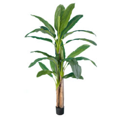 Alternative view of GloboStar® Artificial Garden BANANA TREE 20018 - Τεχνητό Διακοσμητικό Φυτό Μπανανιά - Μπανανόδεντρο Υ240cm