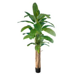 Alternative view of GloboStar® Artificial Garden BANANA TREE 20019 - Τεχνητό Διακοσμητικό Φυτό Μπανανιά - Μπανανόδεντρο Υ280cm