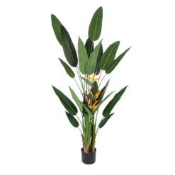 Alternative view of GloboStar® Artificial Garden STRELITZIA REGINAE 20033 Τεχνητό Διακοσμητικό Φυτό Στρελίτσια - Πουλί του Παραδείσου Υ180cm