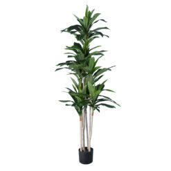 Alternative view of GloboStar® Artificial Garden DRACAENA SILK 20044 - Τεχνητό Διακοσμητικό Φυτό Δράκαινα Υ170cm