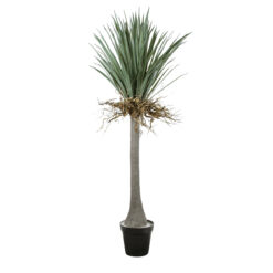 Alternative view of GloboStar® Artificial Garden BEAUCARNEA PALM TREE 20047 Τεχνητό Διακοσμητικό Φυτό Κυρτόφυλλος Μπουκαρνέα Υ200cm