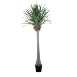 Alternative view of GloboStar® Artificial Garden BEAUCARNEA PALM TREE 20048 Τεχνητό Διακοσμητικό Φυτό Κυρτόφυλλος Μπουκαρνέα Υ250cm