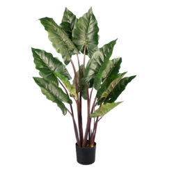 Alternative view of GloboStar® Artificial Garden RAINBOW TARO 20055 Τεχνητό Διακοσμητικό Φυτό Κολοκασία Υ140cm
