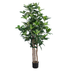 Alternative view of GloboStar® Artificial Garden FORTUNE GUIANA TREE 20056 Τεχνητό Διακοσμητικό Φυτό Καστανιά του Μαλαμπάρ Υ160cm