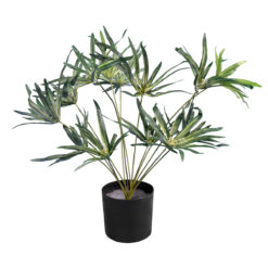 Alternative view of GloboStar® Artificial Garden BROADLEAF LADY PALM 20059 Τεχνητό Διακοσμητικό Φυτό Πλατύφυλλος Φοίνικας Μπαμπού Υ50cm