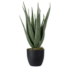 Alternative view of GloboStar® Artificial Garden ALOE 20066 Τεχνητό Διακοσμητικό Φυτό Αλόη Υ65cm