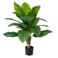 Alternative view of GloboStar® Artificial Garden ROHDEA JAPONICA 20068 Τεχνητό Διακοσμητικό Φυτό Ιαπωνέζικη Ροδέα Υ80cm
