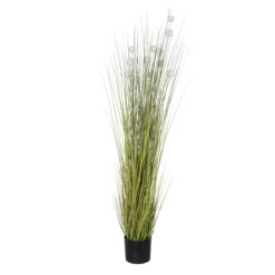 Alternative view of GloboStar® Artificial Garden ERIOPHORUM ANGUSTIFOLIUM COTTON GRASS 20073 Τεχνητό Διακοσμητικό Φυτό Γρασίδι του Βαμβακιού Υ150cm