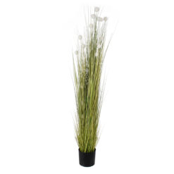 Alternative view of GloboStar® Artificial Garden ERIOPHORUM ANGUSTIFOLIUM COTTON GRASS 20074 Τεχνητό Διακοσμητικό Φυτό Γρασίδι του Βαμβακιού Υ170cm