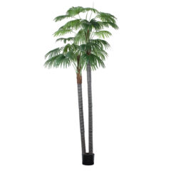 Alternative view of GloboStar® Artificial Garden PALM TREE 20086 Τεχνητό Διακοσμητικό Φυτό Φοινικόδεντρο Βεντάλια Υ300cm