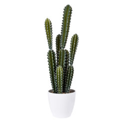 Alternative view of GloboStar® Artificial Garden CEREUS JAMACARU CACTUS 20095 Τεχνητό Διακοσμητικό Φυτό Κάκτος Κηρίος Υ71cm