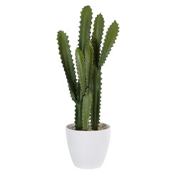 Alternative view of GloboStar® Artificial Garden CEREUS JAMACARU CACTUS 20099 Τεχνητό Διακοσμητικό Φυτό Κάκτος Κηρίος Υ66cm