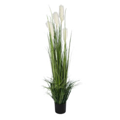 Alternative view of GloboStar® Artificial Garden PAMPAS GRASS 20106 Τεχνητό Διακοσμητικό Φυτό Γρασίδι της Πάμπας Υ150cm