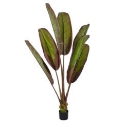 Alternative view of GloboStar® Artificial Garden BLOODY BANANA TREE 20118 - Τεχνητό Διακοσμητικό Φυτό Αιματόφυλλη Μπανανιά - Μπανανόδεντρο Υ190cm